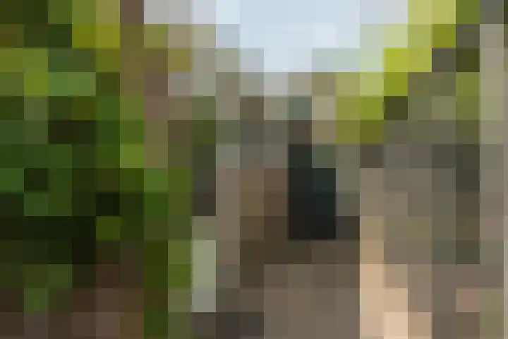 De Savornin Lohmanstraat 13 Tilburg thumbnail 33