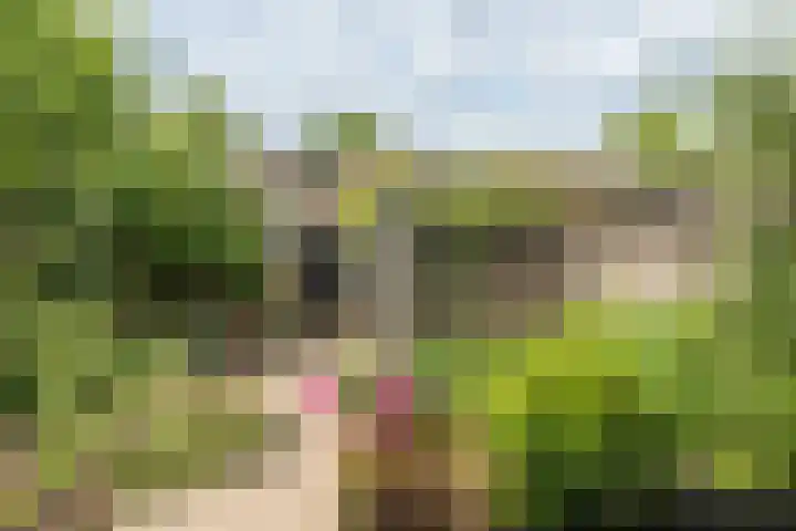 De Savornin Lohmanstraat 13 Tilburg thumbnail 4