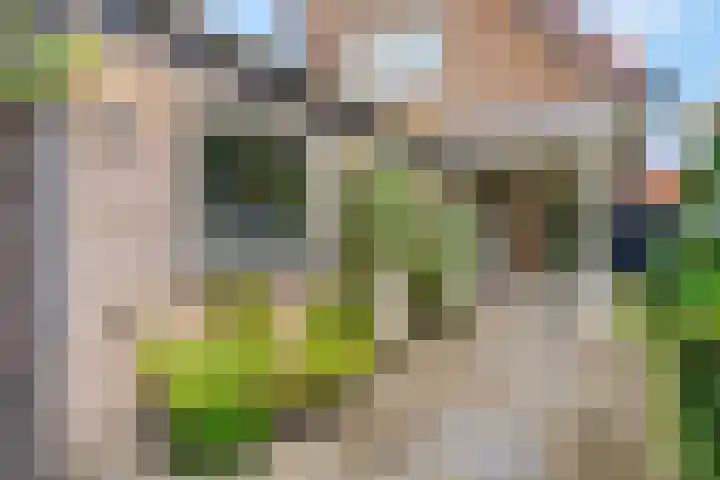 De Savornin Lohmanstraat 136 Veenendaal thumbnail 39