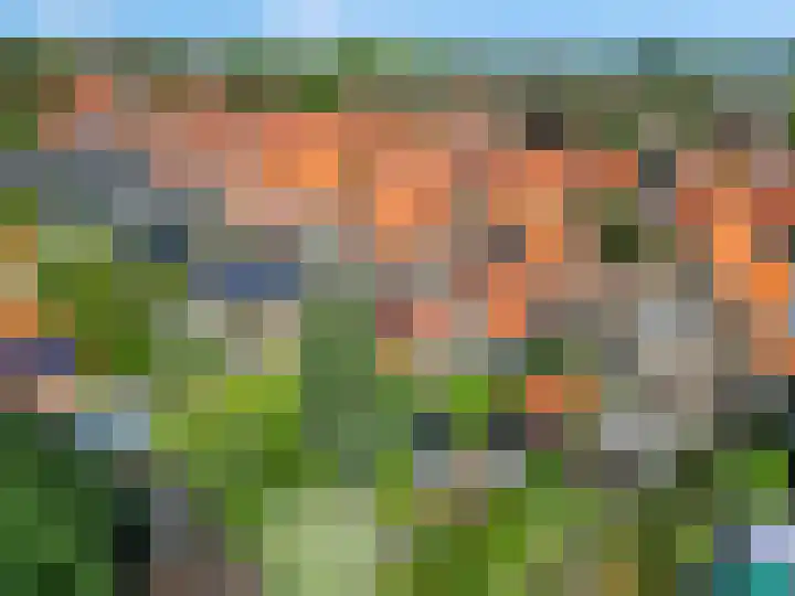 De Savornin Lohmanstraat 136 Veenendaal thumbnail 50