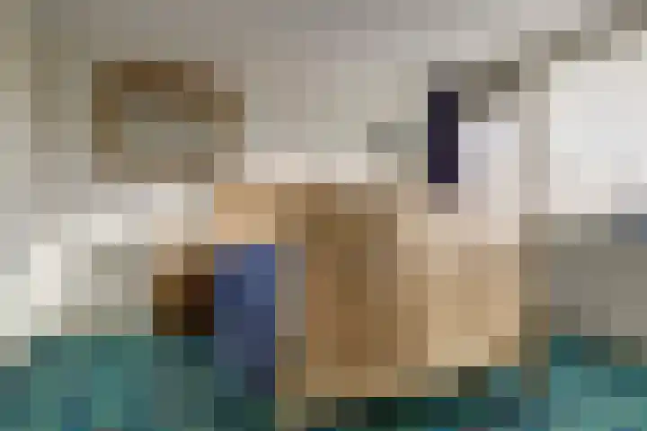 De Savornin Lohmanstraat 14 Elst thumbnail 14
