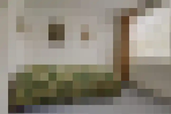 De Savornin Lohmanstraat 14 Elst thumbnail 17