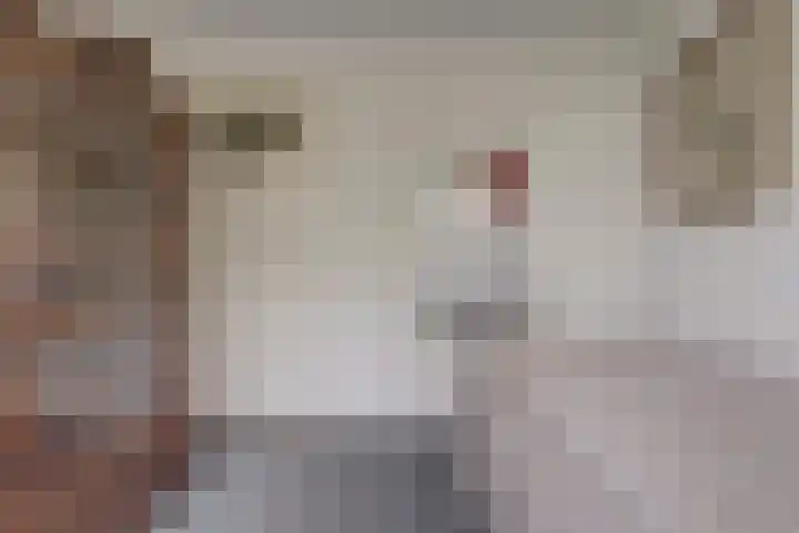 De Savornin Lohmanstraat 14 Elst thumbnail 19