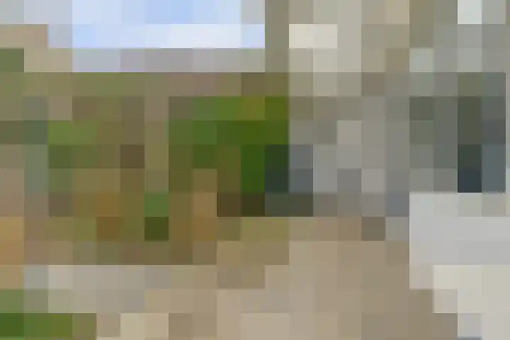 De Savornin Lohmanstraat 14 Elst thumbnail 25