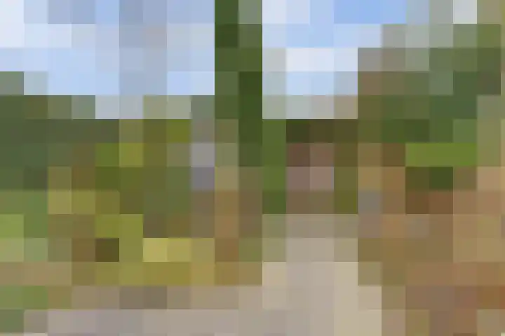 De Savornin Lohmanstraat 14 Elst thumbnail 26
