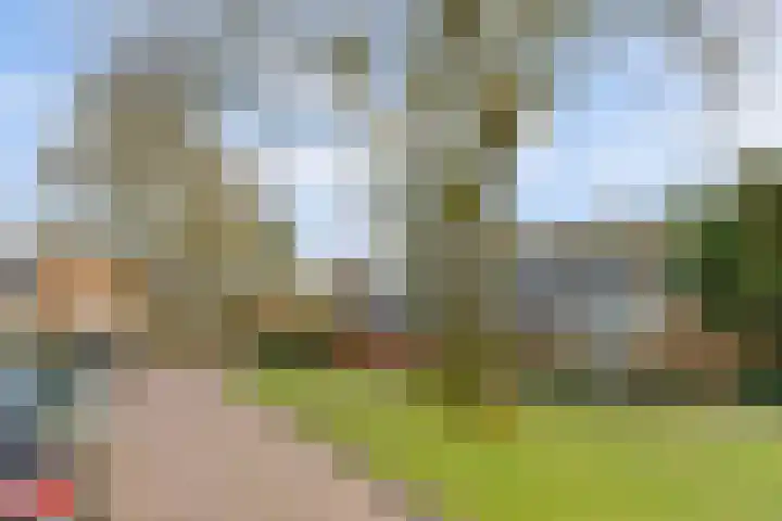 De Savornin Lohmanstraat 14 Elst thumbnail 28