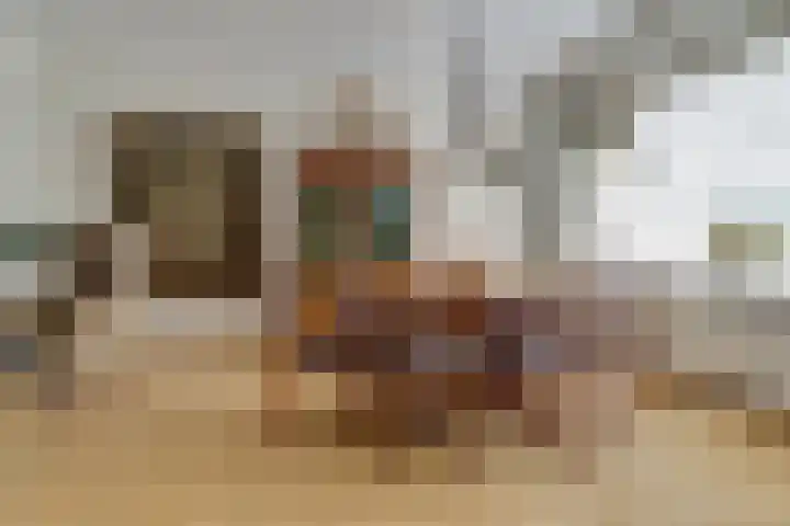 De Savornin Lohmanstraat 14 Elst thumbnail 7