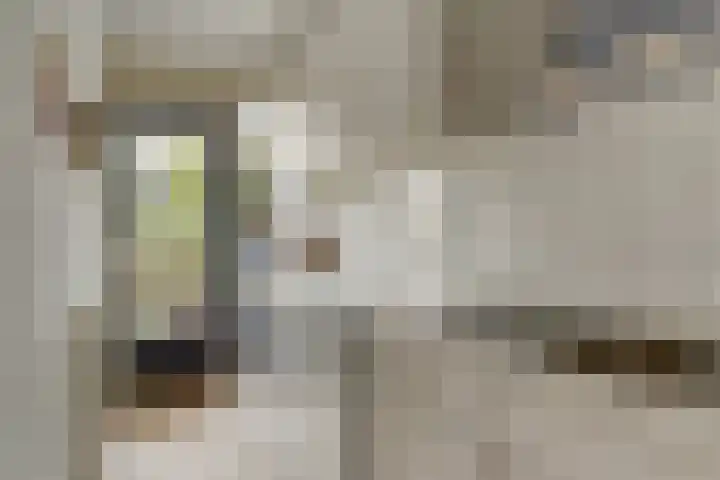 De Savornin Lohmanstraat 14 Elst thumbnail 9