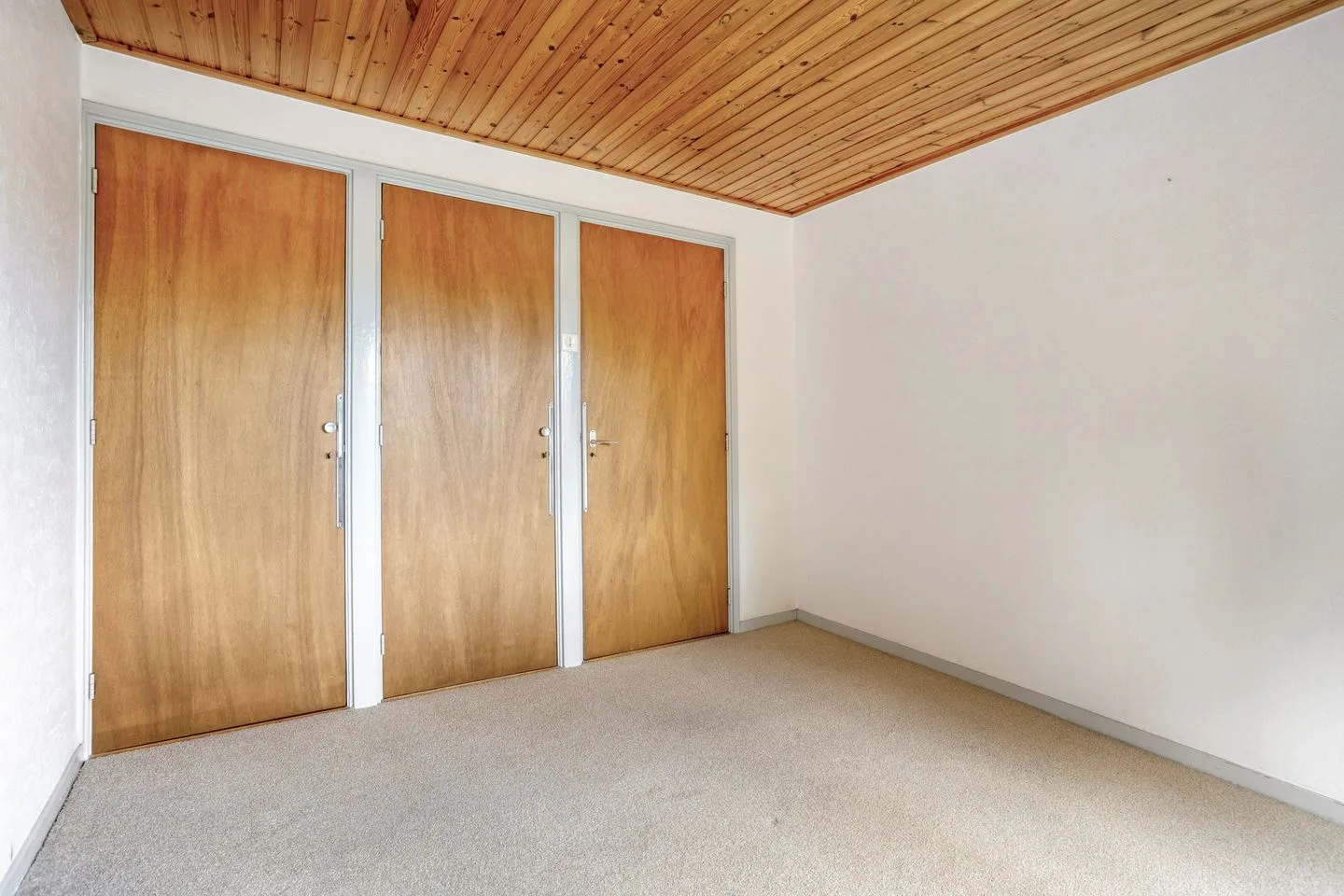 de Savornin Lohmanstraat 15 Zelhem thumbnail 17
