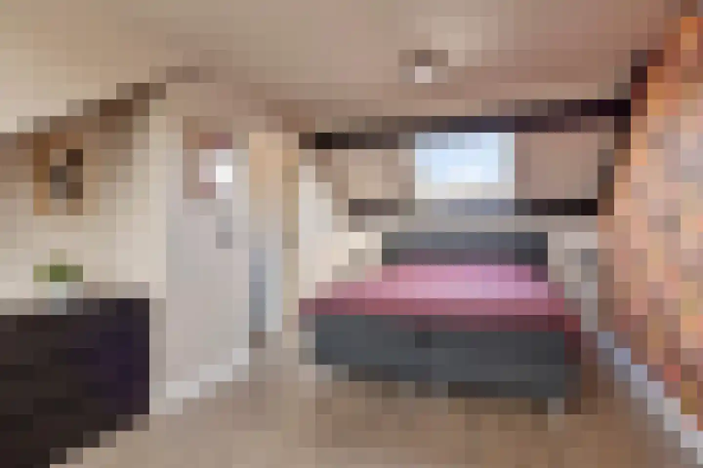 De Savornin Lohmanstraat 18 Bergentheim thumbnail 29