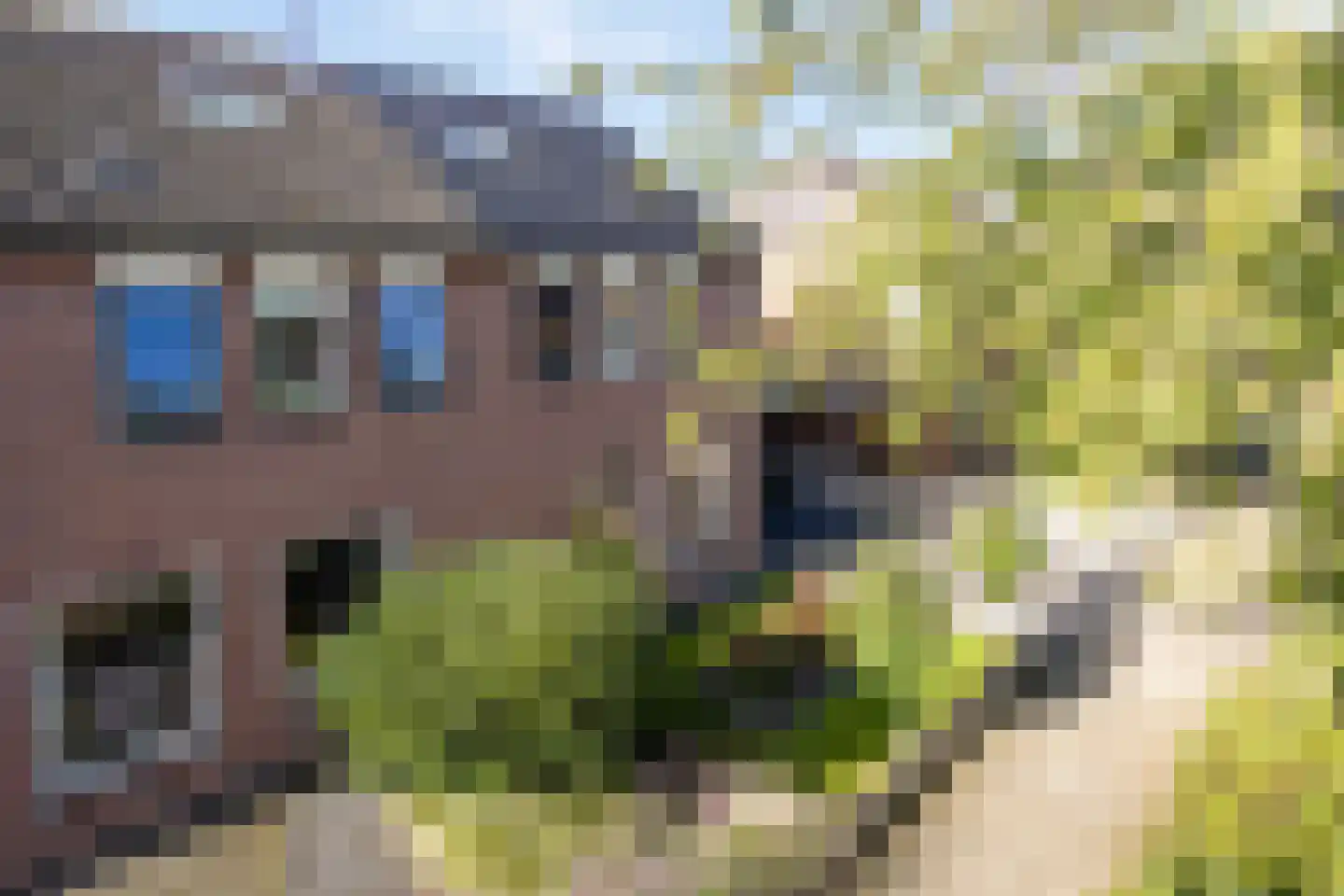 De Savornin Lohmanstraat 18 Bergentheim thumbnail 37