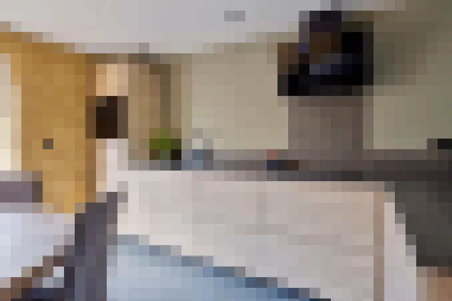 De Savornin Lohmanstraat 18 Bergentheim thumbnail 4