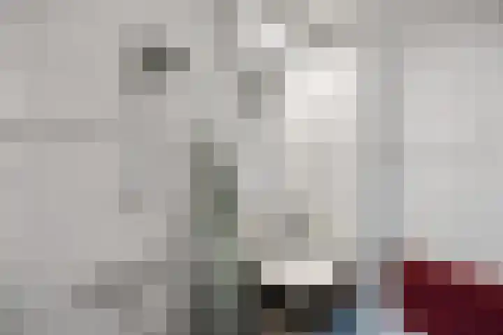 de Savornin Lohmanstraat 18 Nijmegen thumbnail 22