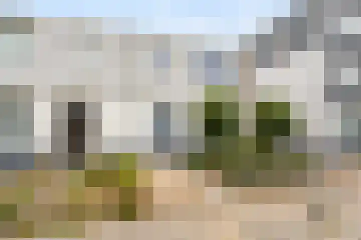 de Savornin Lohmanstraat 18 Nijmegen thumbnail 33