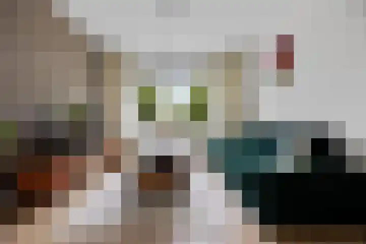 de Savornin Lohmanstraat 18 Nijmegen thumbnail 5