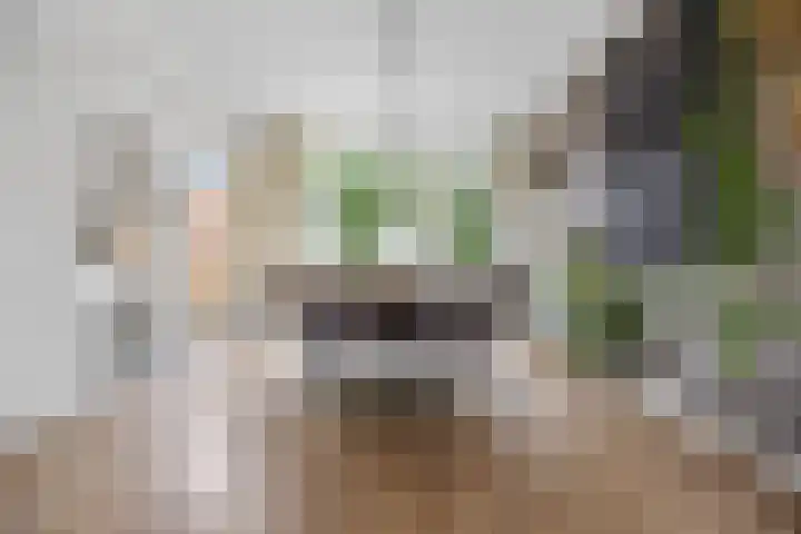 de Savornin Lohmanstraat 18 Nijmegen thumbnail 6