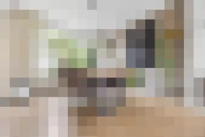 de Savornin Lohmanstraat 18 Nijmegen thumbnail 7