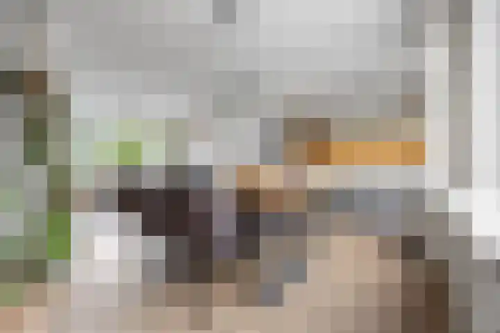 de Savornin Lohmanstraat 18 Nijmegen thumbnail 8