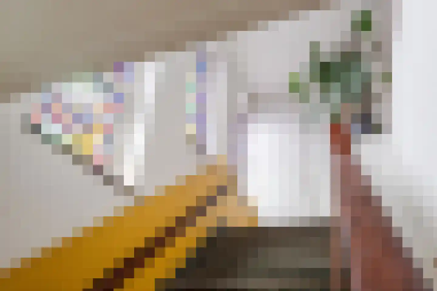 De Savornin Lohmanstraat 19 L Utrecht thumbnail 10