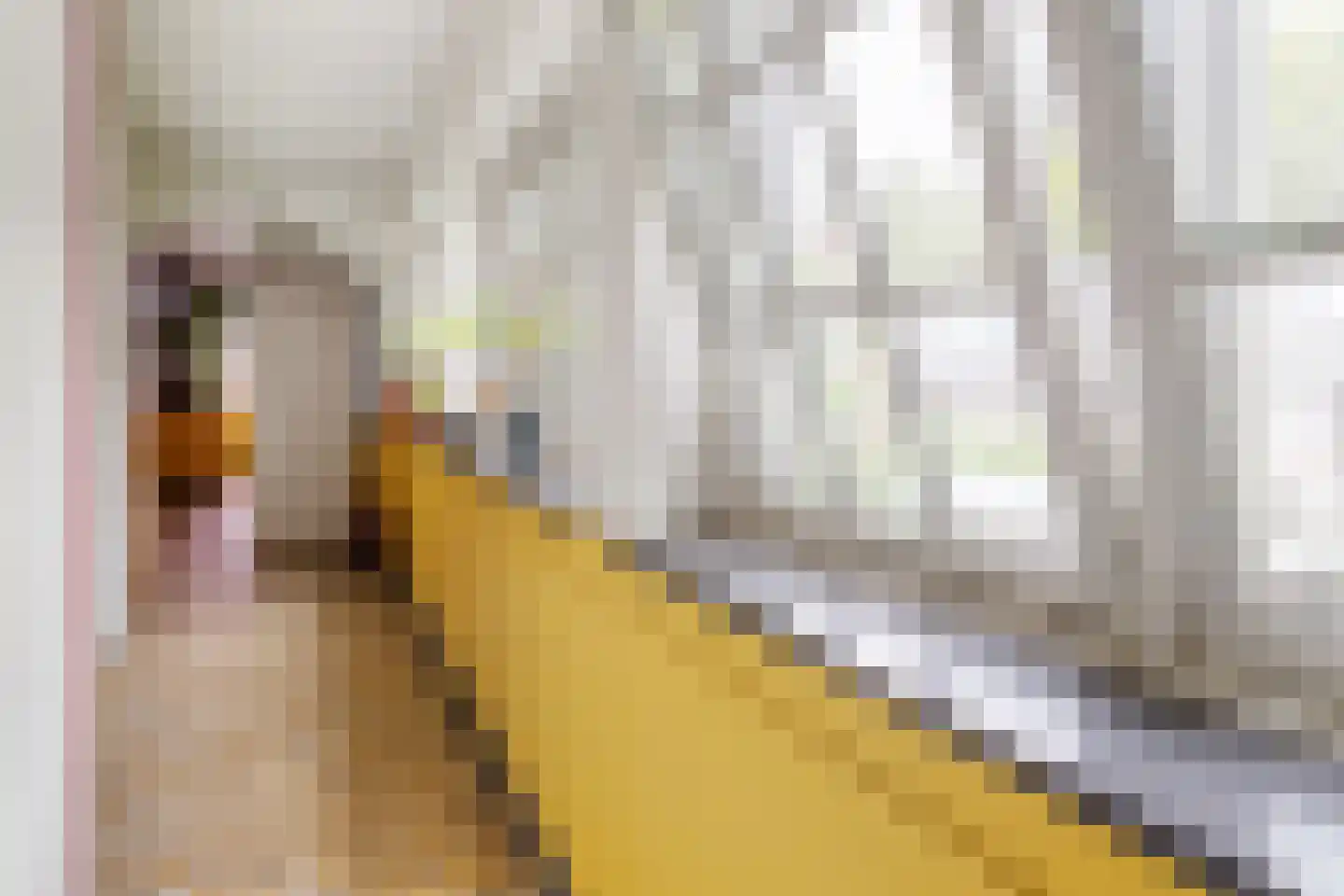 De Savornin Lohmanstraat 19 L Utrecht thumbnail 12