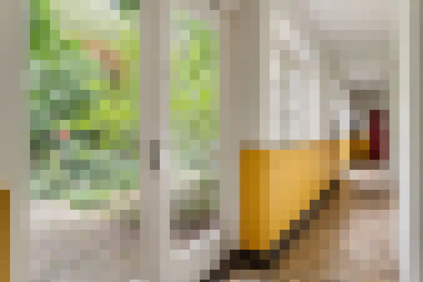 De Savornin Lohmanstraat 19 L Utrecht thumbnail 13