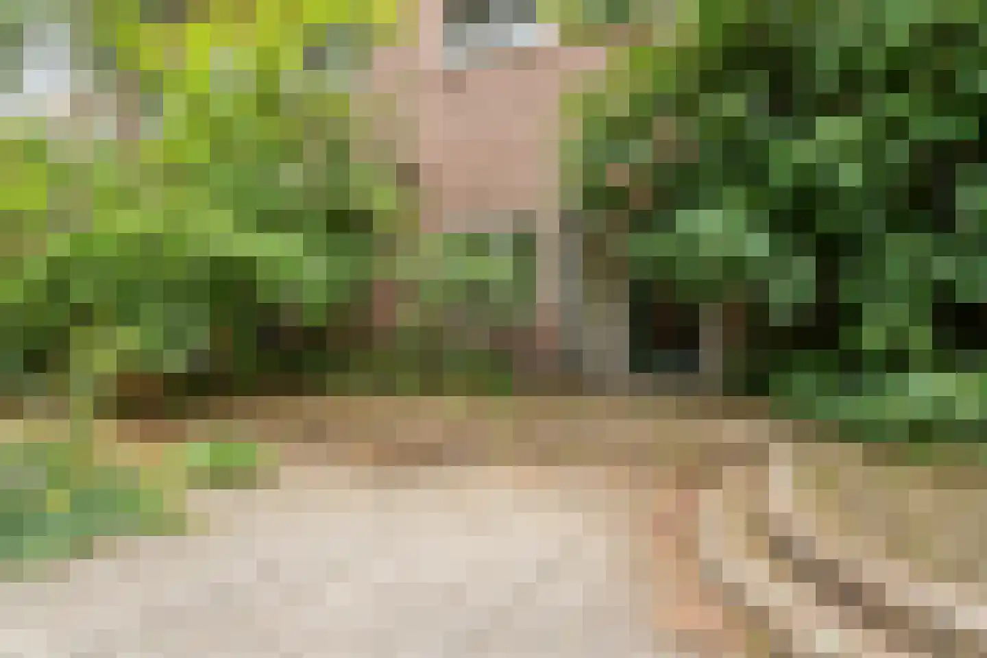 De Savornin Lohmanstraat 19 L Utrecht thumbnail 6