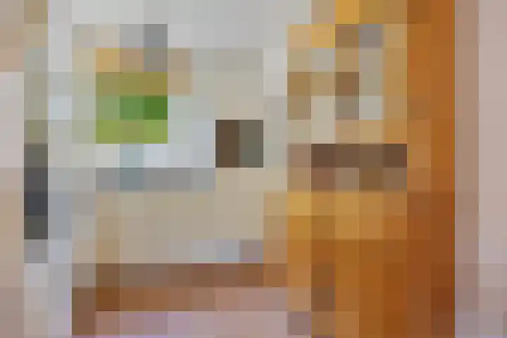 De Savornin Lohmanstraat 2 Brummen thumbnail 14