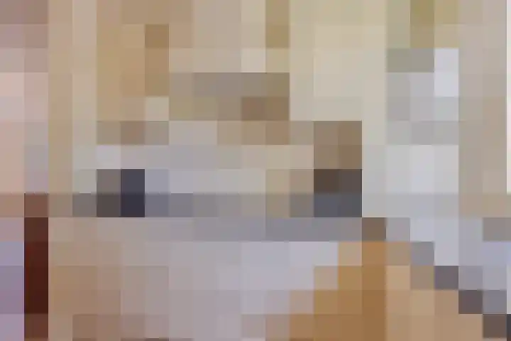 De Savornin Lohmanstraat 2 Brummen thumbnail 15