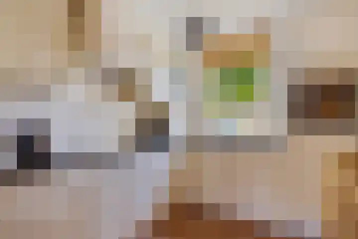 De Savornin Lohmanstraat 2 Brummen thumbnail 16