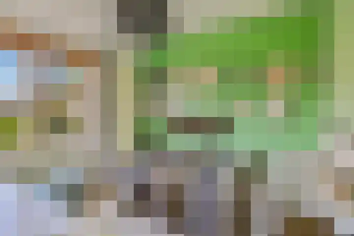De Savornin Lohmanstraat 2 Brummen thumbnail 20