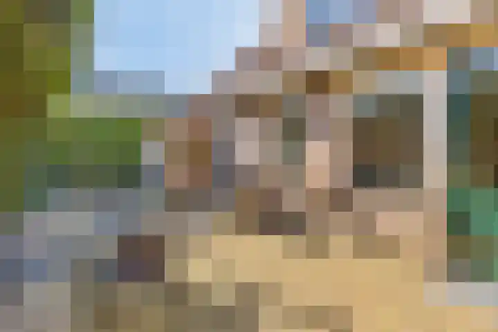 De Savornin Lohmanstraat 2 Brummen thumbnail 26
