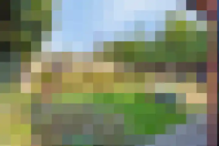 De Savornin Lohmanstraat 2 Brummen thumbnail 27