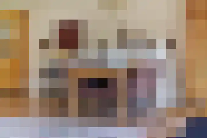 De Savornin Lohmanstraat 2 Brummen thumbnail 9
