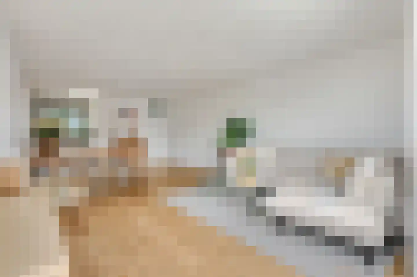De Savornin Lohmanstraat 2 E Veenendaal thumbnail 10