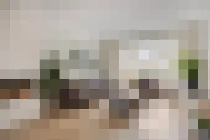 De Savornin Lohmanstraat 23 Noordwijkerhout thumbnail 11