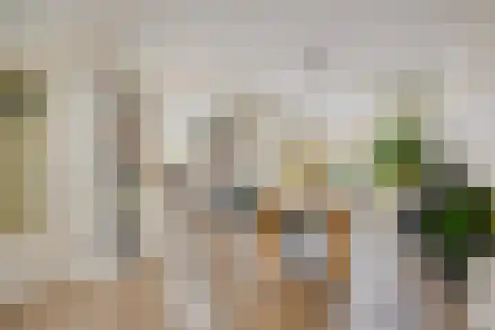 De Savornin Lohmanstraat 23 Noordwijkerhout thumbnail 12