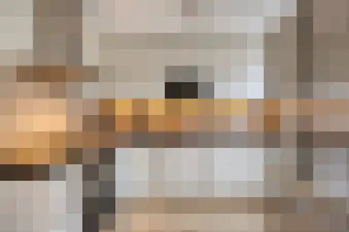 De Savornin Lohmanstraat 23 Noordwijkerhout thumbnail 18