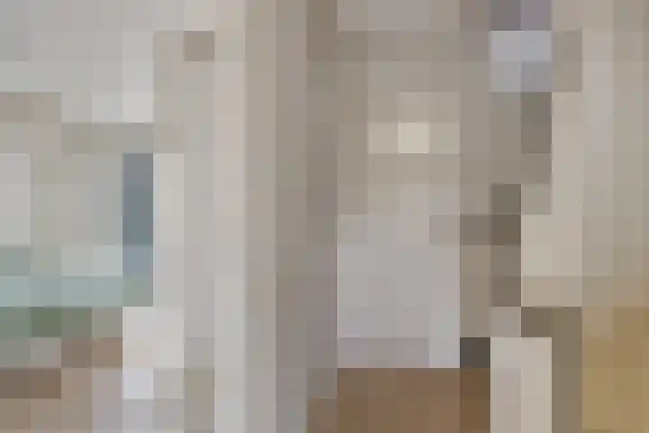 De Savornin Lohmanstraat 23 Noordwijkerhout thumbnail 22