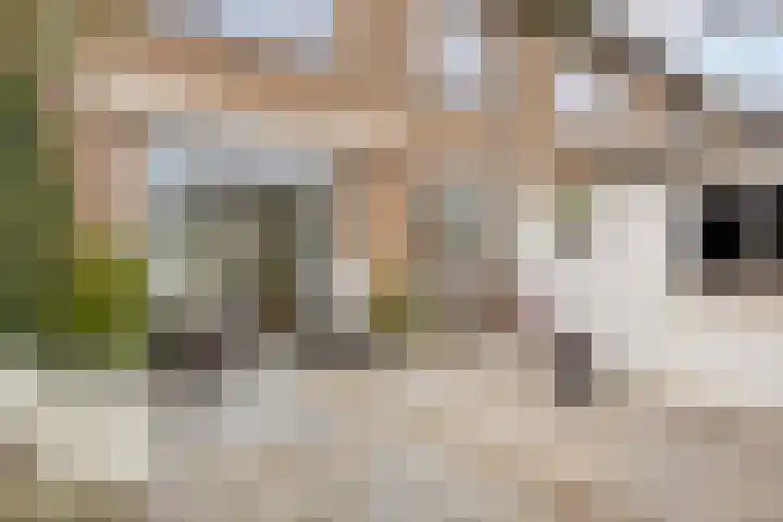 De Savornin Lohmanstraat 23 Noordwijkerhout thumbnail 40