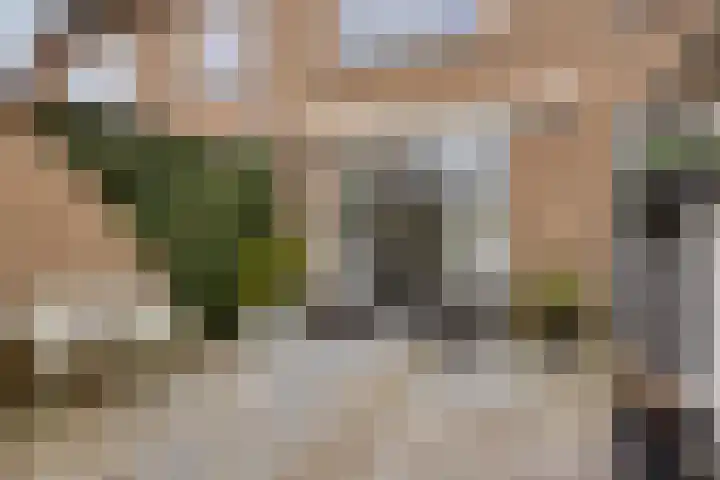 De Savornin Lohmanstraat 23 Noordwijkerhout thumbnail 41