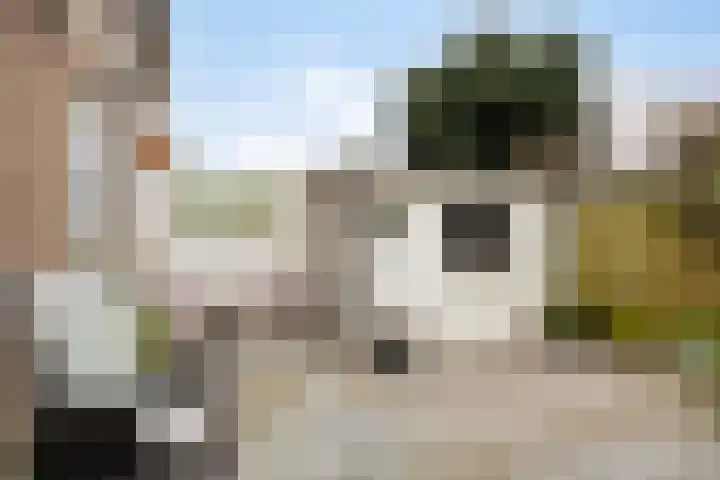 De Savornin Lohmanstraat 23 Noordwijkerhout thumbnail 43