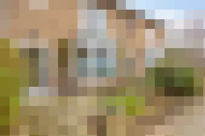 De Savornin Lohmanstraat 23 Noordwijkerhout thumbnail 7