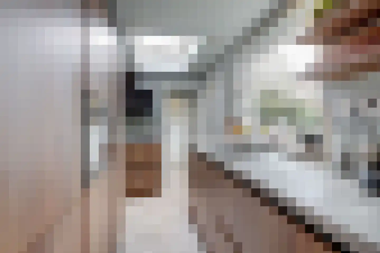 De Savornin Lohmanstraat 23 Veenendaal thumbnail 10
