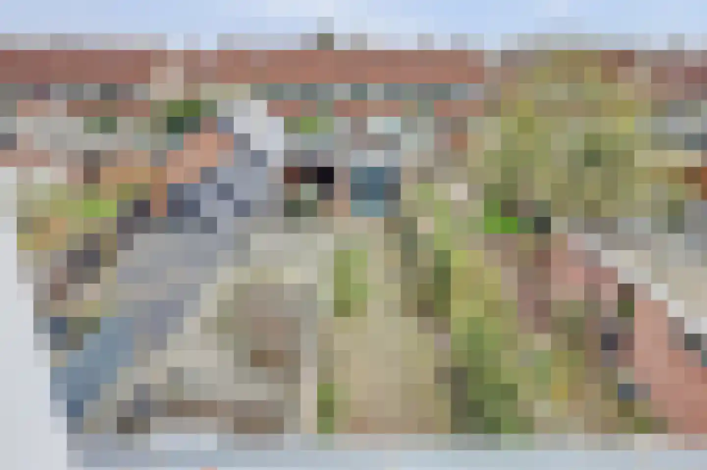 De Savornin Lohmanstraat 23 Veenendaal thumbnail 26