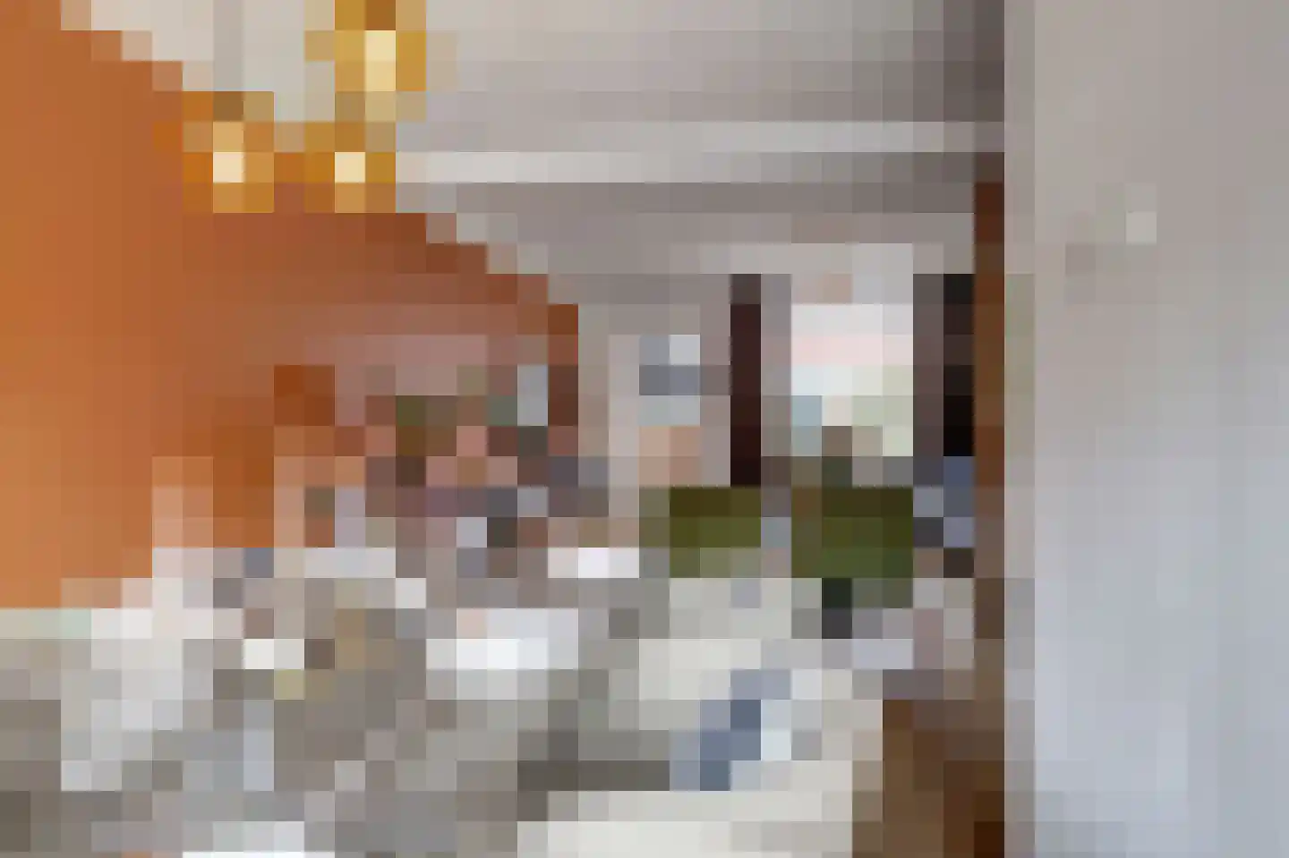 De Savornin Lohmanstraat 23 Veenendaal thumbnail 8