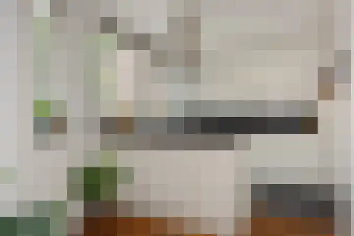 de Savornin Lohmanstraat 26 's-Hertogenbosch thumbnail 12