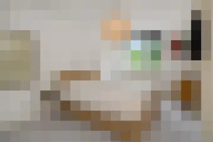 de Savornin Lohmanstraat 26 's-Hertogenbosch thumbnail 15