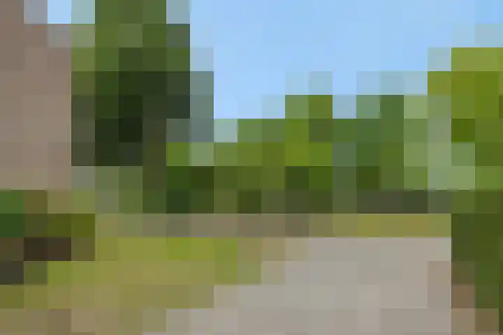 de Savornin Lohmanstraat 26 's-Hertogenbosch thumbnail 33