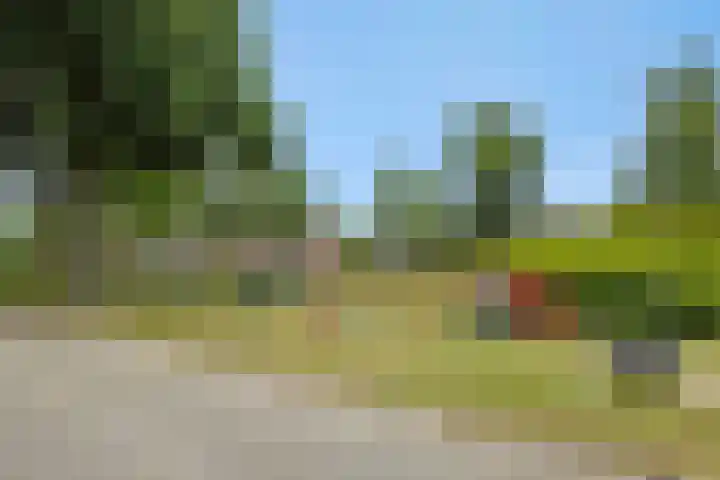 de Savornin Lohmanstraat 26 's-Hertogenbosch thumbnail 36