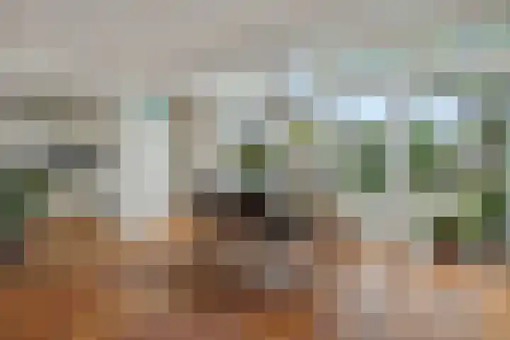 de Savornin Lohmanstraat 26 's-Hertogenbosch thumbnail 4